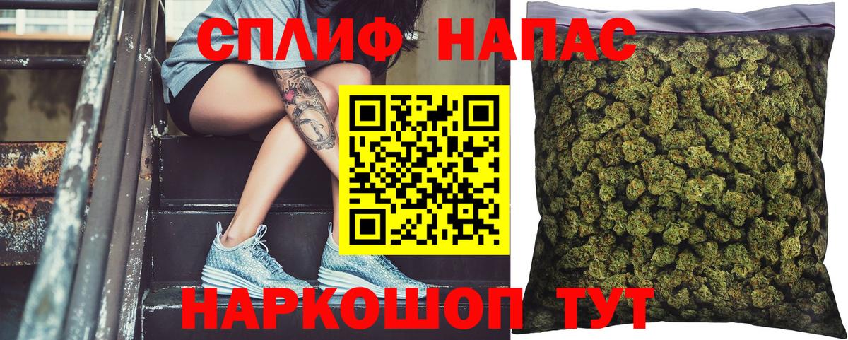 Канабис гибрид Аша